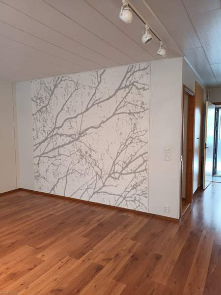 3h  + s  Vaala - photo 4