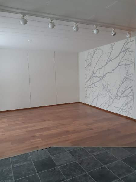 3h  + s  Vaala - photo 3