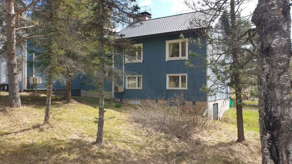 5h + k + s  Ruovesi - valokuva 4