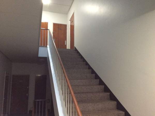 2h + p  Glebychevo – foto 8