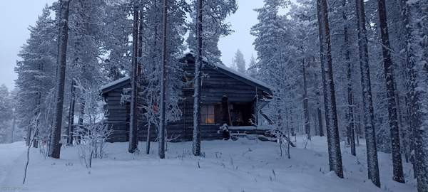 3h + avok + s + parvi  Kifri – foto 1