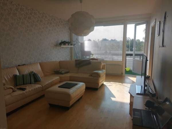 3h + k + p  Paimio - valokuva 2