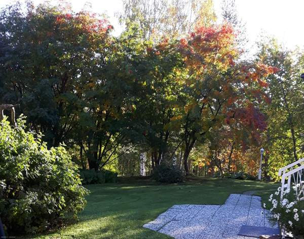 6h + k + s + p  Lodeynoye Pole - valokuva 7