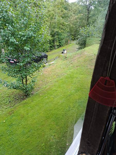 2h + s + p  Naantali - photo 4