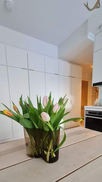 2h + avok + p  Oulu – foto 7