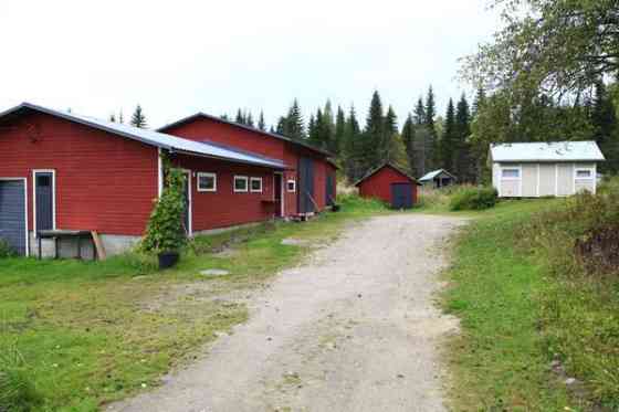 2h + avok + s  Juuka