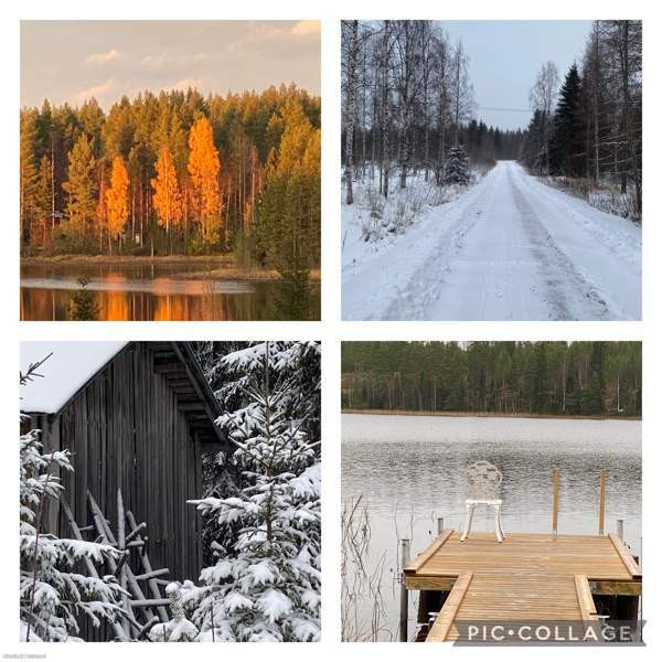 4h,k,apuk.,ph, s  Sotkamo - изображение 3