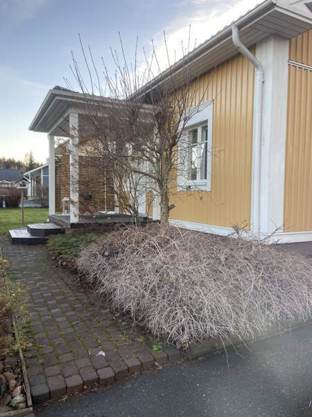 4h + k + s  Коккола - изображение 1