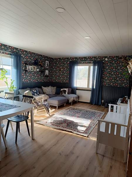 4h  Kruunupyy – foto 4