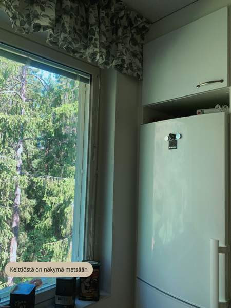 3h + k + p  Hollola - valokuva 6