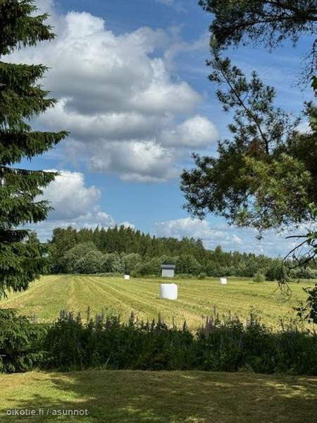 4h + s  Kurikka - valokuva 5