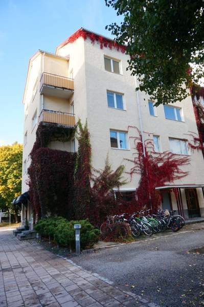 4h + k + p  Turtkul - valokuva 6