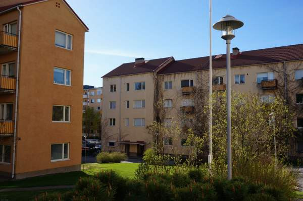 4h + k + p  Turtkul - valokuva 3