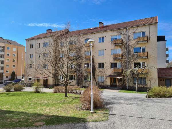 4h + k + p  Turtkul - valokuva 1