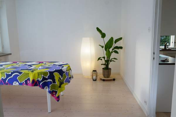 4h + k + p  Turtkul - valokuva 8