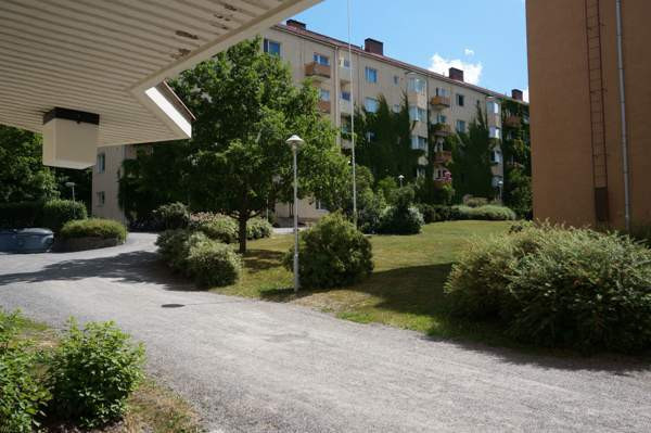 4h + k + p  Turtkul - valokuva 4