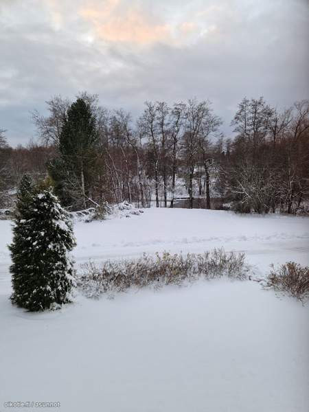 1h + avok  Macau - valokuva 3