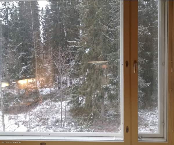 2h + k + p  Glebychevo - valokuva 8