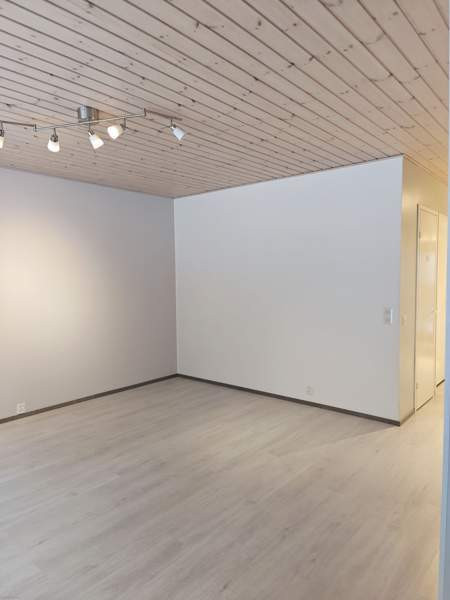 2h + k + s  Yloejaervi – foto 1