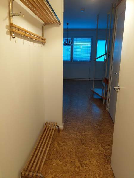 3h + k + p  Kemin - valokuva 4