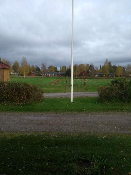 2h  Juuka - valokuva 4