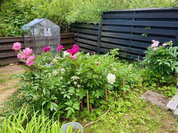 4h + s  Kirkkonummi – foto 6