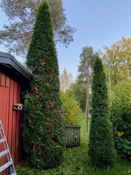 4h + s  Kirkkonummi – foto 4