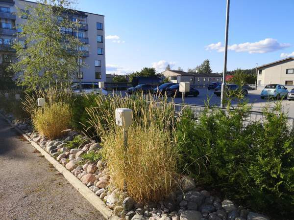 2h  Glebychevo - valokuva 3