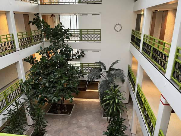 1h + avok + p  Ikaalinen – foto 8