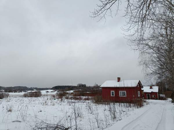 2h  Лохья - изображение 1