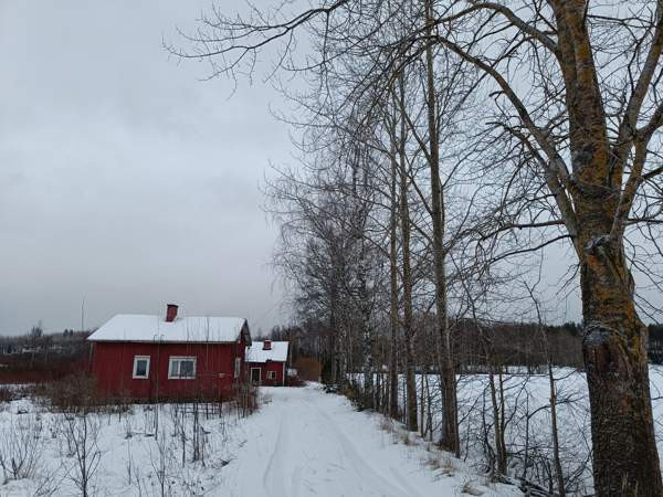 2h  Лохья - изображение 3