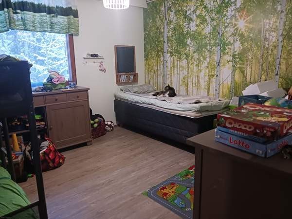 3h + s  Hämeenlinna - valokuva 2