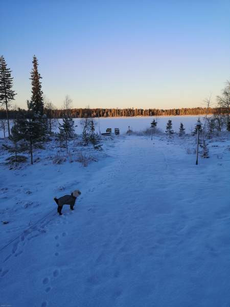 3mh + tupak.+ kodinhoitoh. + s + p + 2 wc, terassi  Kuusamo – foto 3