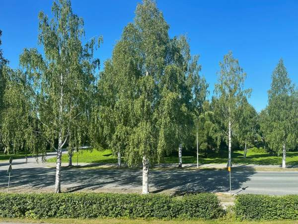 3h + k + p  Оулу - изображение 3