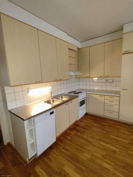 3h + p  Äänekoski - photo 4