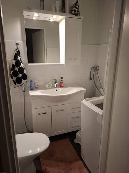 4h + k + s  Lieksa - valokuva 6