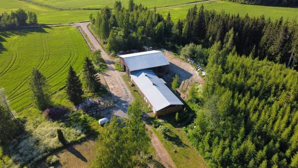 7h + k + s  Kuopio - valokuva 3