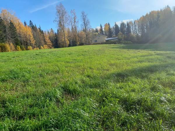 4h + k + s+wc+autotalli  Myrskylä – foto 2