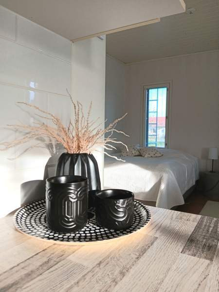 3h + k + s  Сейняйоки - изображение 7