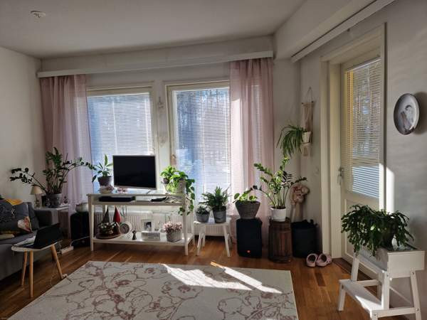 1h + avok + s + p  Joensuu - photo 1