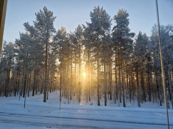 1h + avok + s + p  Joensuu - photo 8