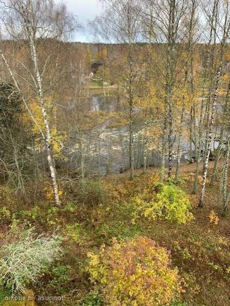 4h + k + kph + erllinen wc + p  Parkano - valokuva 2