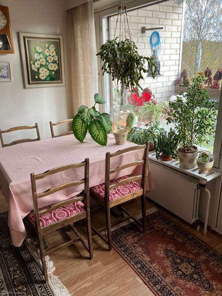 4h + k + kph + erllinen wc + p  Parkano - valokuva 7