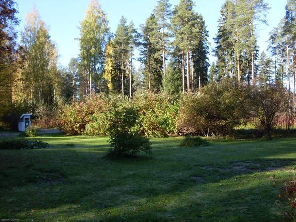 4h + k + s  Juuka – foto 3