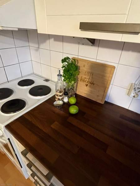 2h+k+vh, lasitettu parveke  Haemeenlinna - photo 7