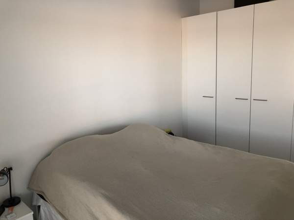 2h + avok + p  Lieto - valokuva 5