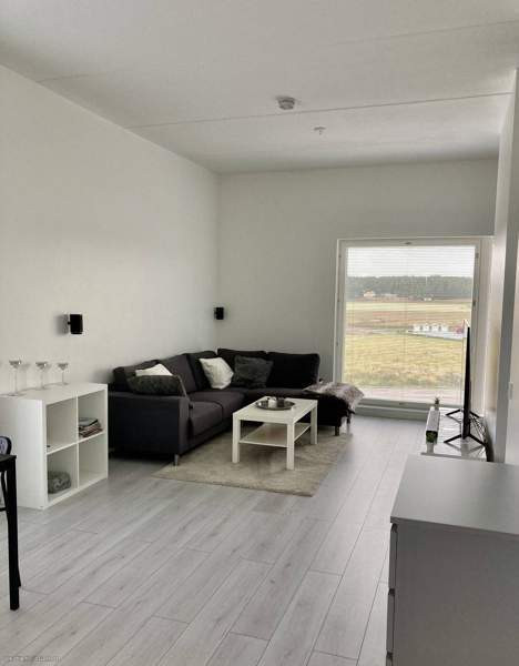 2h + avok + p  Lieto - valokuva 3