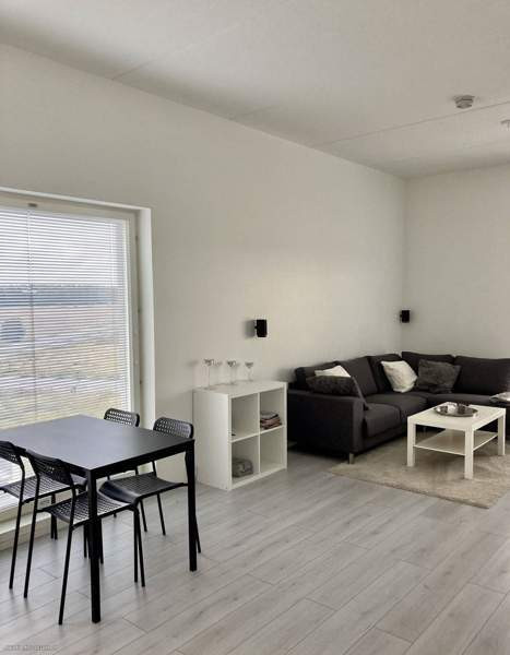 2h + avok + p  Lieto - valokuva 2