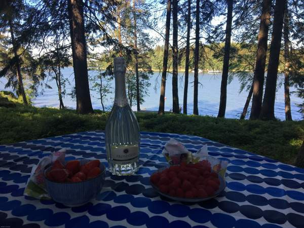 1h  Espoo – foto 5