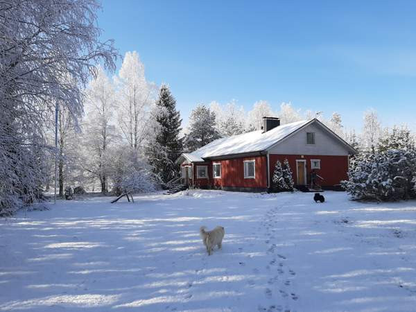 4h + tupkeittiö + khh + s  Isojoki – foto 1